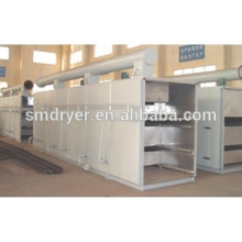 banana chips mesh-belt dryer for foodstuff industry